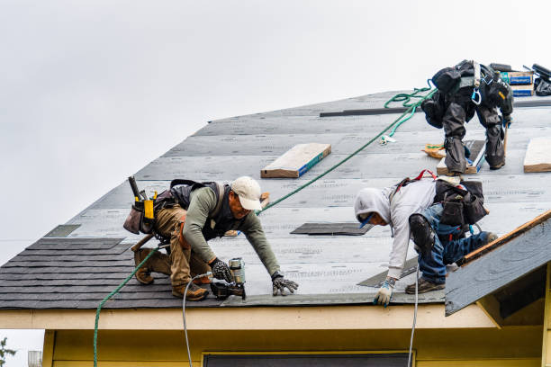 Professional Roofing technician working in Noti, OR